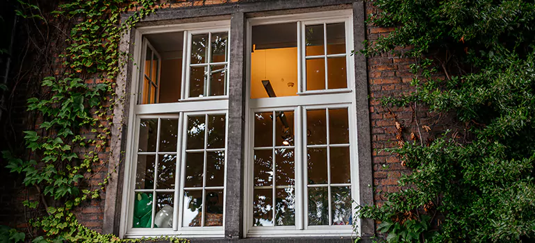 Energy Efficient Wood Windows in Vallejo, CA