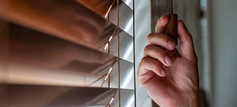 Double Roller Blinds in Vallejo, CA
