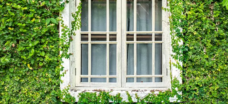 Garden Window Repair Near Me in Vallejo, CA