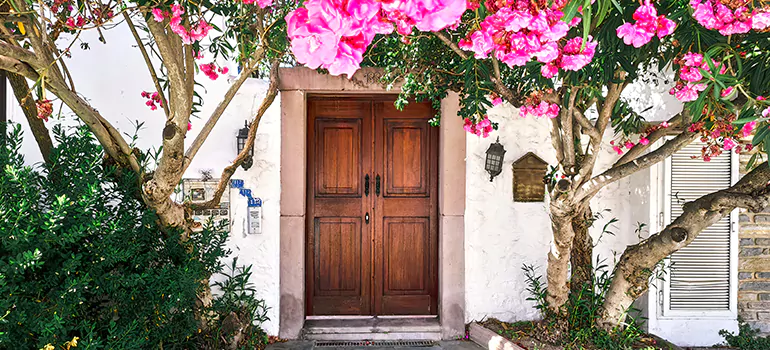Traditional 4 Panel Internal Doors in Vallejo, CA