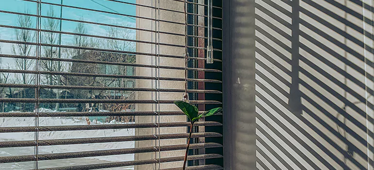 Commercial Window Blinds in Vallejo, CA