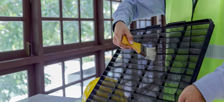 Traditional Window Grille Installation Options in Vallejo, CA