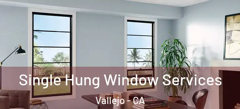  Single Hung Window Services Vallejo - CA
