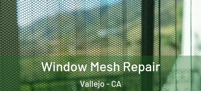  Window Mesh Repair Vallejo - CA