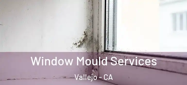 Window Mould Services Vallejo - CA