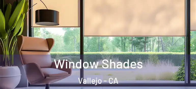  Window Shades Vallejo - CA